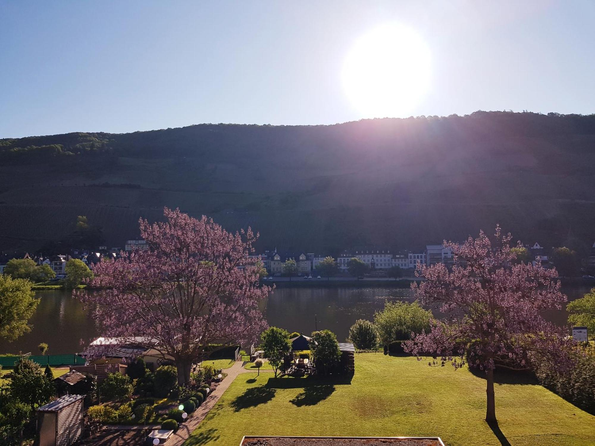 Zum Blauglockenbaum Apartment Zell an der Mosel Luaran gambar